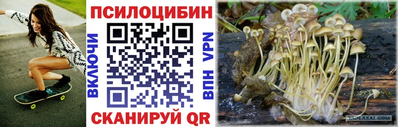 Галлюциногенные грибы Magic Shrooms Купить Пошехонье