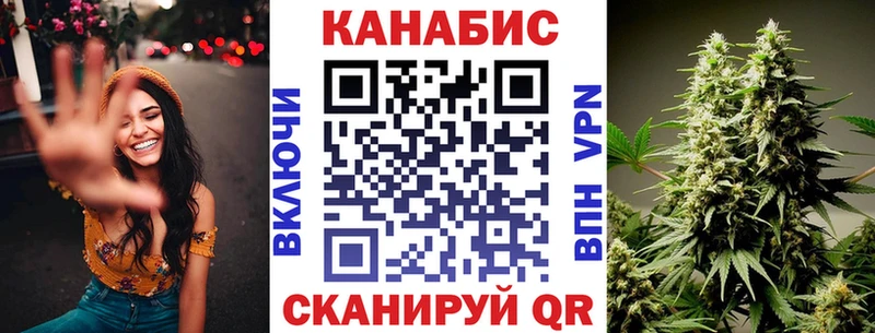 Купить где Пошехонье Бошки Шишки Amnesia